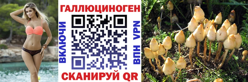 Галлюциногенные грибы Cubensis  Советский 